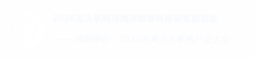 无人系统