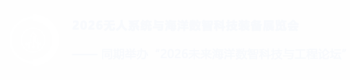 无人系统